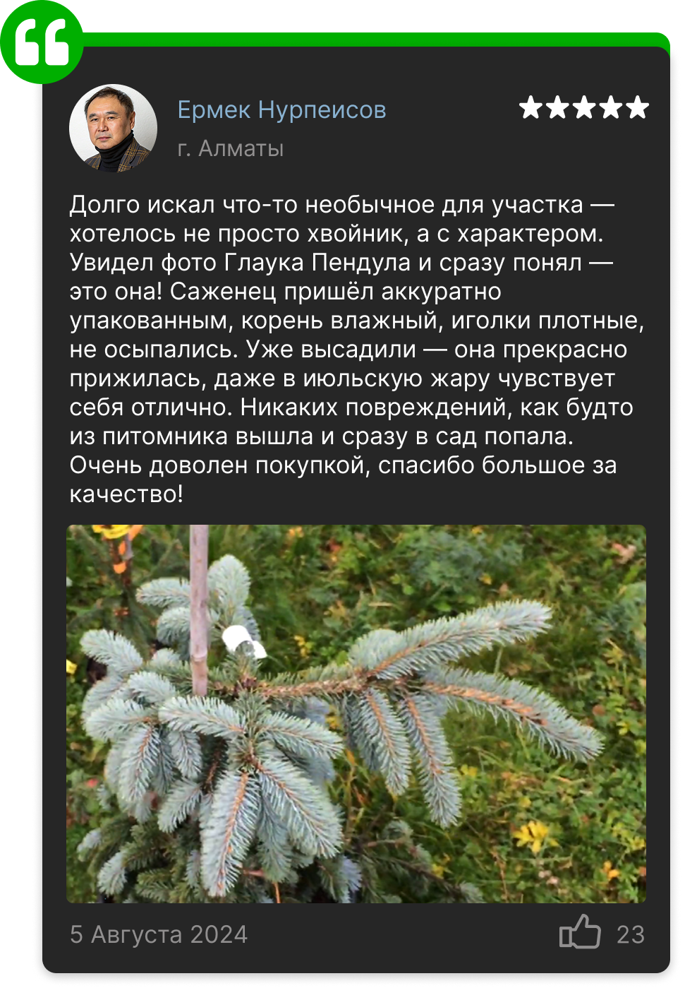 Image title