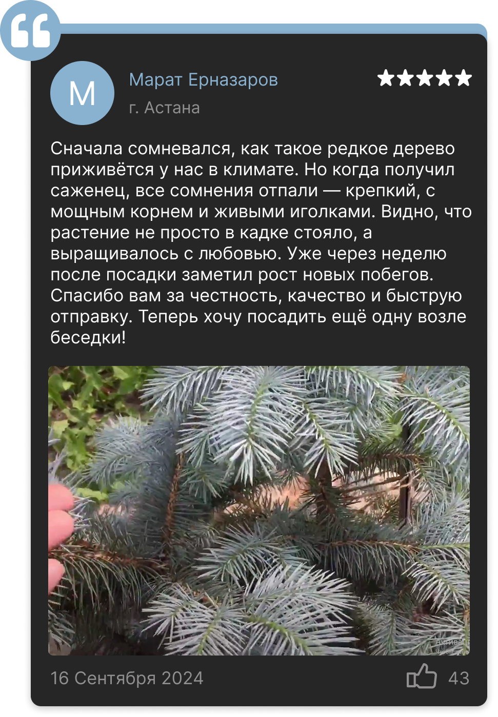 Image title